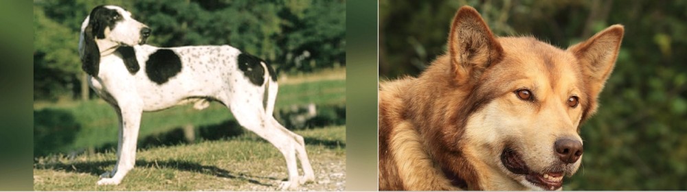 Seppala Siberian Sleddog vs Ariegeois - Breed Comparison