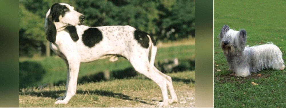 Skye Terrier vs Ariegeois - Breed Comparison