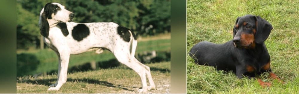 Slovakian Hound vs Ariegeois - Breed Comparison