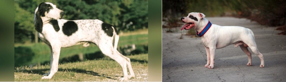 Staffordshire Bull Terrier vs Ariegeois - Breed Comparison