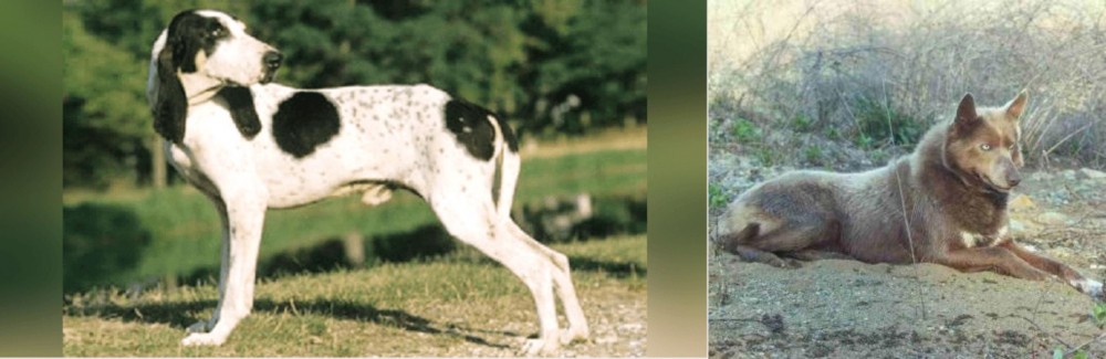 Tahltan Bear Dog vs Ariegeois - Breed Comparison