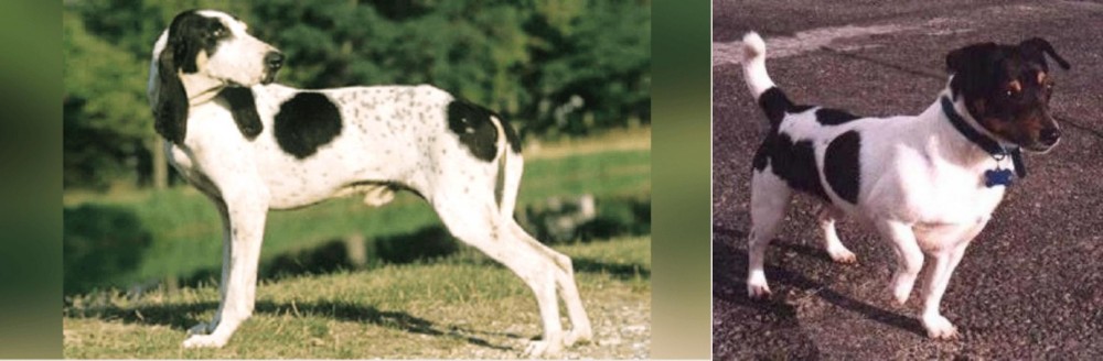 Teddy Roosevelt Terrier vs Ariegeois - Breed Comparison