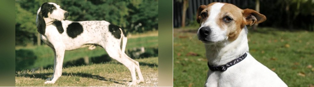 Tenterfield Terrier vs Ariegeois - Breed Comparison