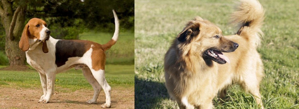 Basque Shepherd vs Artois Hound - Breed Comparison