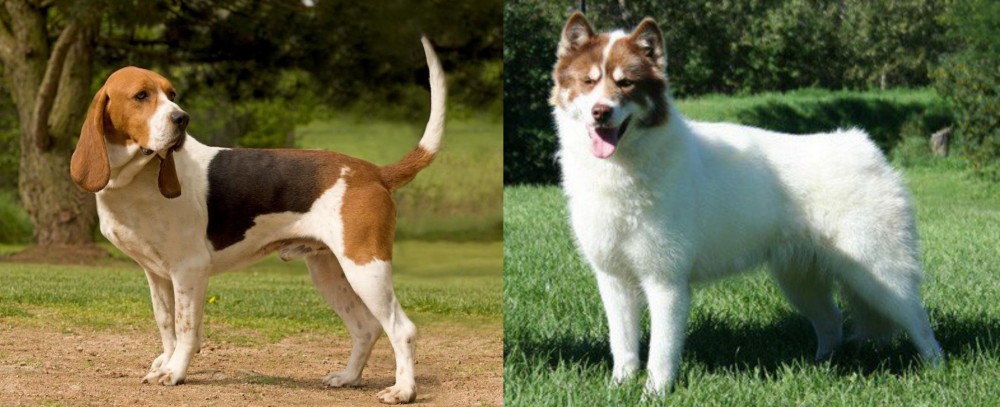Canadian Eskimo Dog vs Artois Hound - Breed Comparison