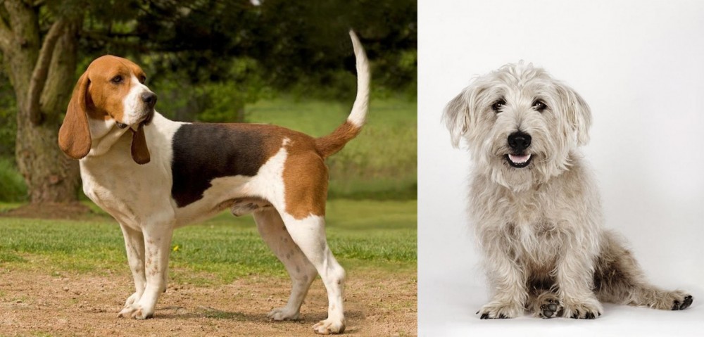 Glen of Imaal Terrier vs Artois Hound - Breed Comparison