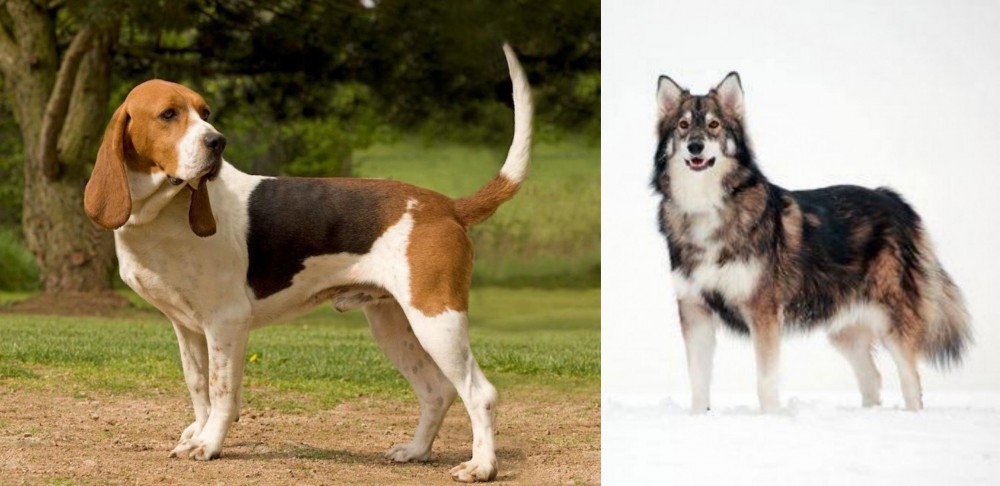 Utonagan vs Artois Hound - Breed Comparison