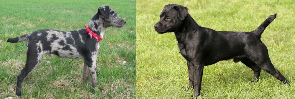 Patterdale Terrier vs Atlas Terrier - Breed Comparison
