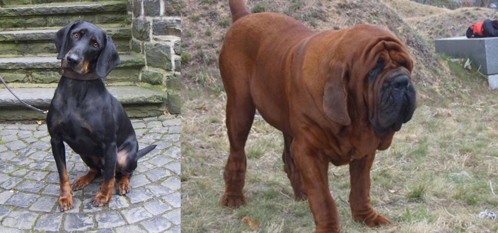 Korean Mastiff vs Austrian Black and Tan Hound - Breed Comparison