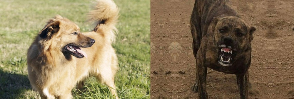 Dogo Sardesco vs Basque Shepherd - Breed Comparison