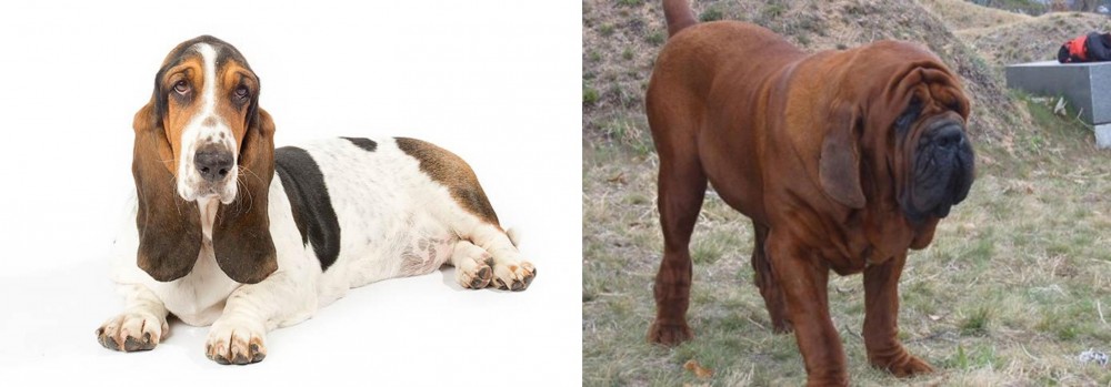 Korean Mastiff vs Basset Hound - Breed Comparison