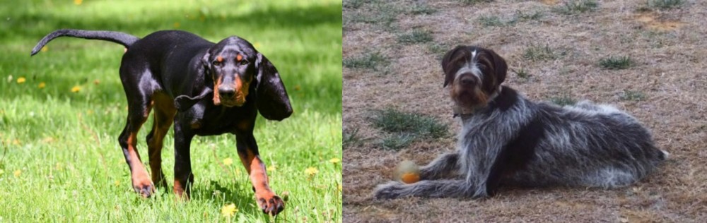 Deutsch Drahthaar vs Black and Tan Coonhound - Breed Comparison