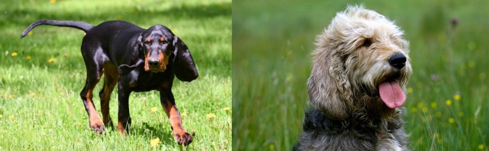 Otterhound vs Black and Tan Coonhound - Breed Comparison