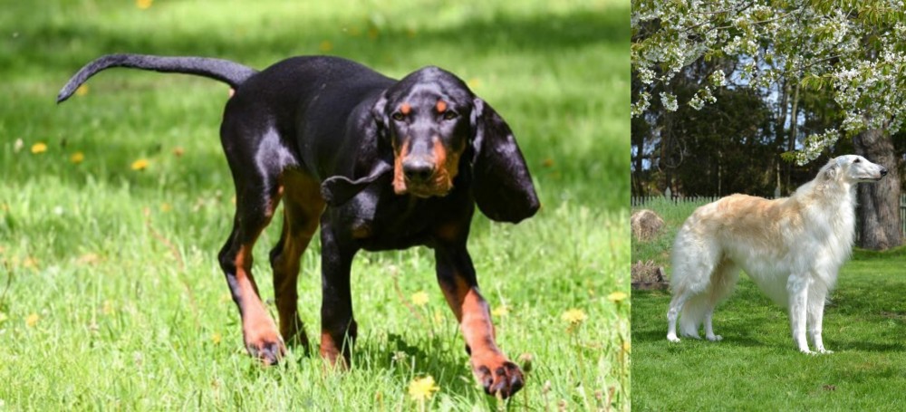 Russian Hound vs Black and Tan Coonhound - Breed Comparison