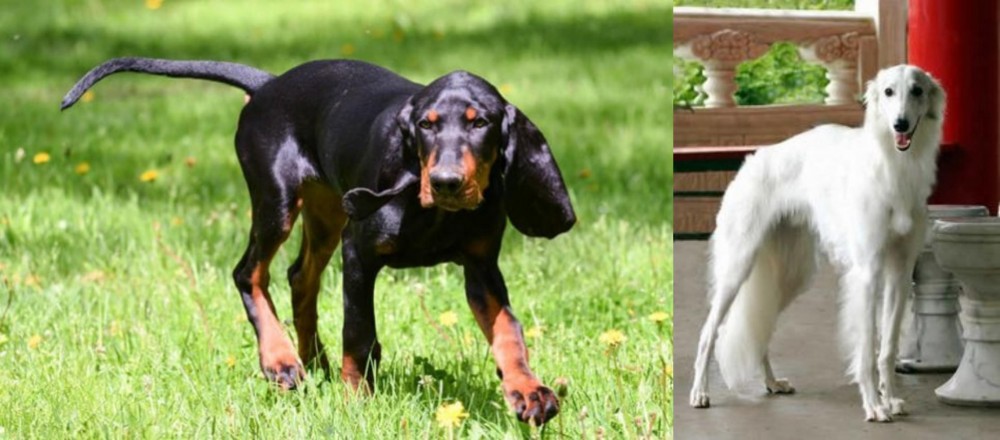 Silken Windhound vs Black and Tan Coonhound - Breed Comparison