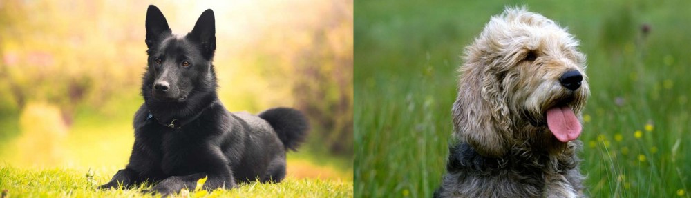 Otterhound vs Black Norwegian Elkhound - Breed Comparison