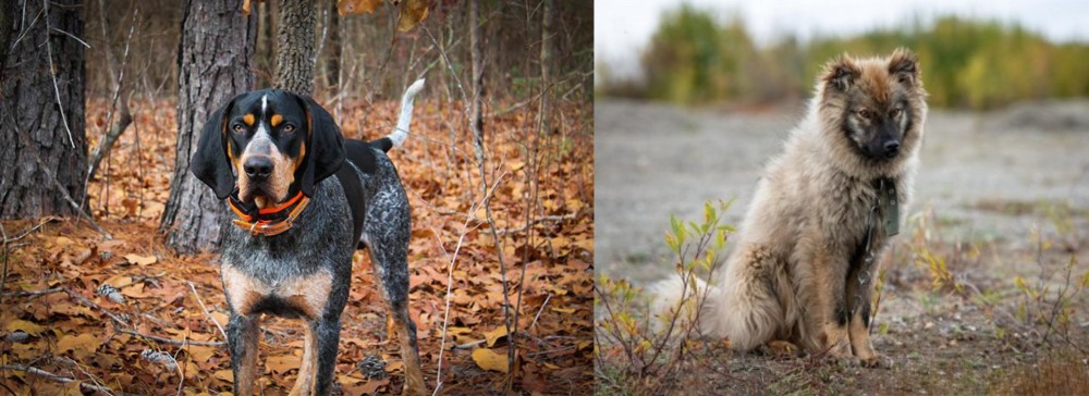 Nenets Herding Laika vs Bluetick Coonhound - Breed Comparison