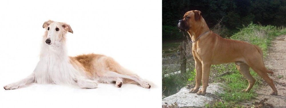 Bullmastiff vs Borzoi - Breed Comparison