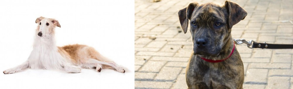 Catahoula Bulldog vs Borzoi - Breed Comparison