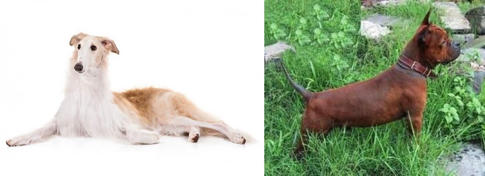 Chinese Chongqing Dog vs Borzoi - Breed Comparison