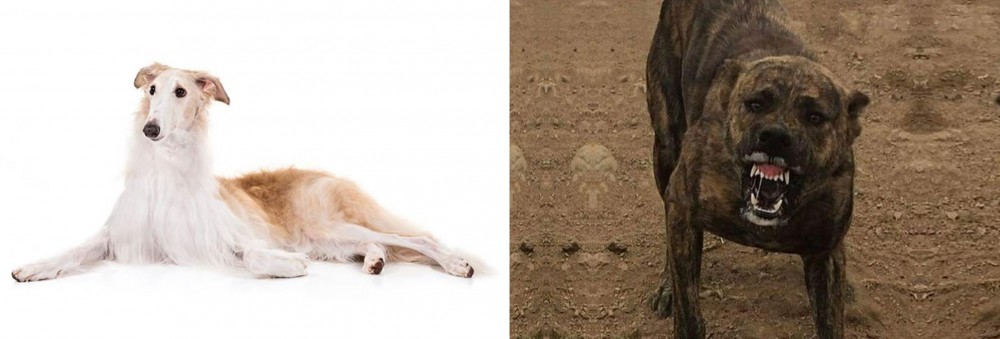 Dogo Sardesco vs Borzoi - Breed Comparison