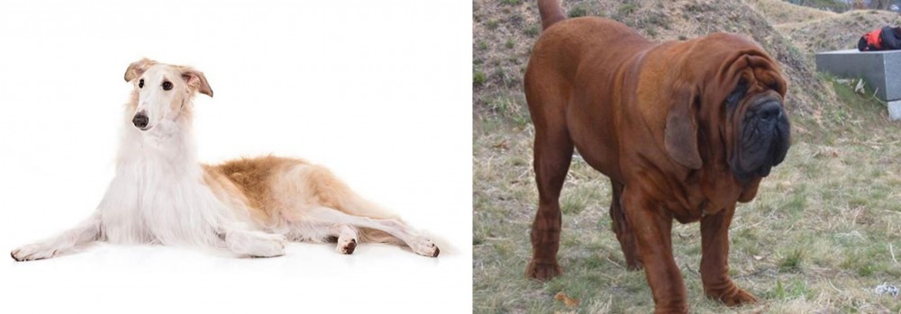 Korean Mastiff vs Borzoi - Breed Comparison
