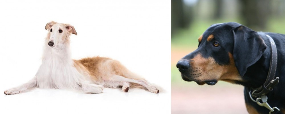 Lithuanian Hound vs Borzoi - Breed Comparison