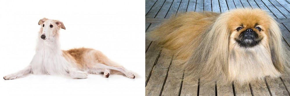 Pekingese vs Borzoi - Breed Comparison
