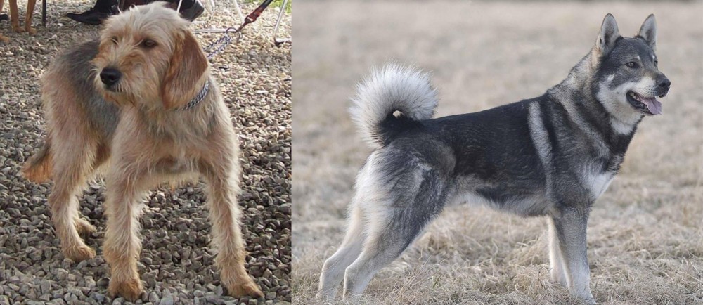 Jamthund vs Bosnian Coarse-Haired Hound - Breed Comparison