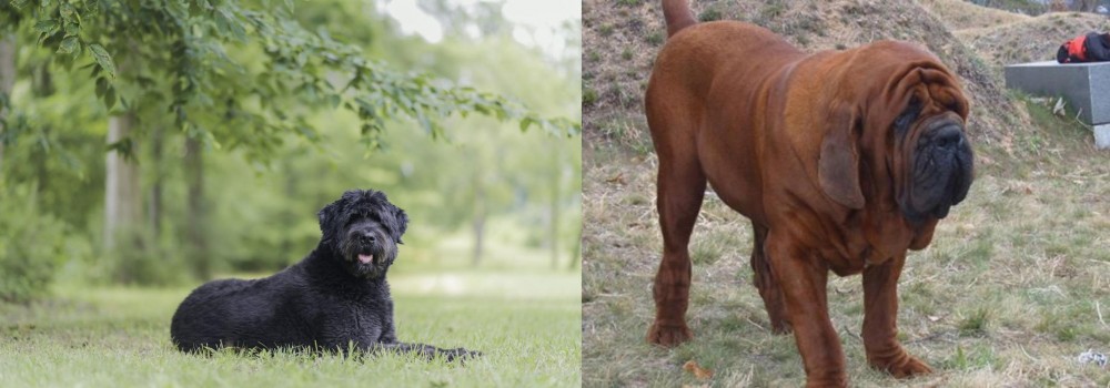 Korean Mastiff vs Bouvier des Flandres - Breed Comparison