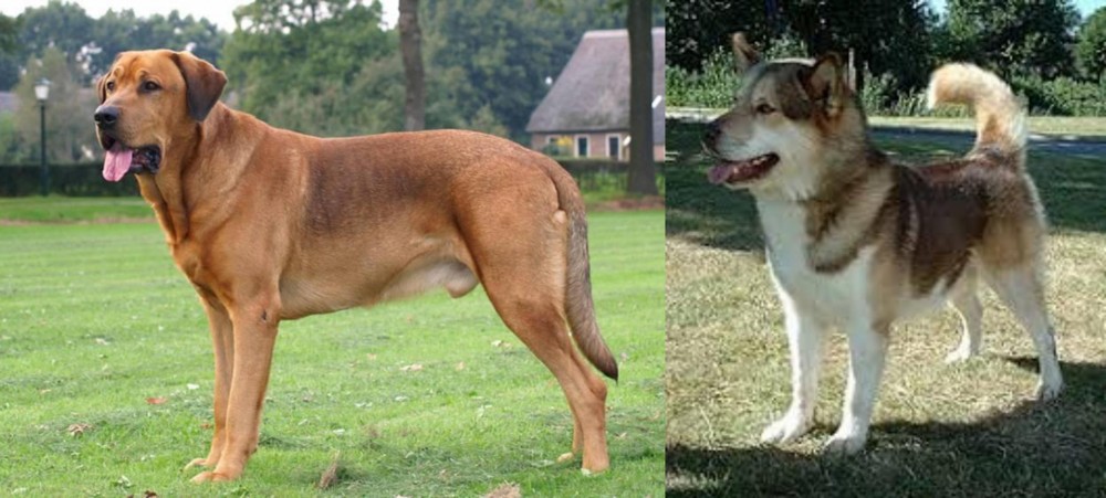 Greenland Dog vs Broholmer - Breed Comparison