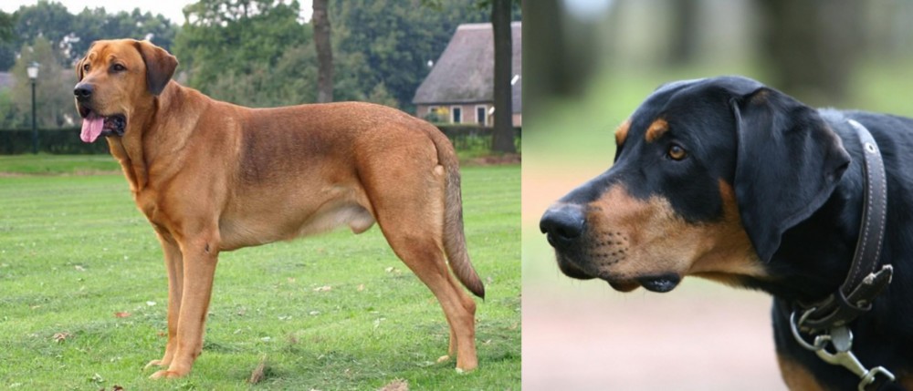 Lithuanian Hound vs Broholmer - Breed Comparison