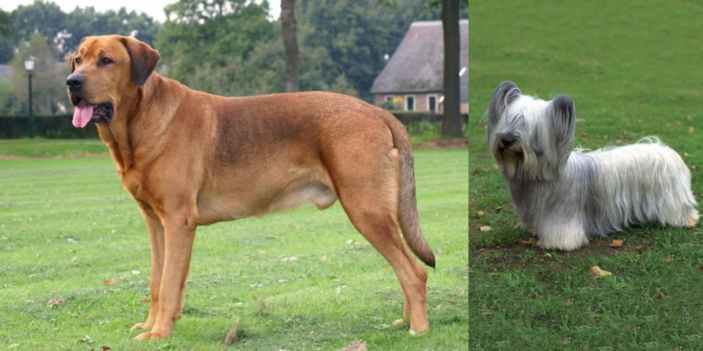 Skye Terrier vs Broholmer - Breed Comparison