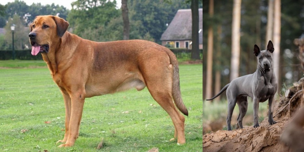 Thai Ridgeback vs Broholmer - Breed Comparison