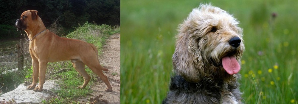 Otterhound vs Bullmastiff - Breed Comparison