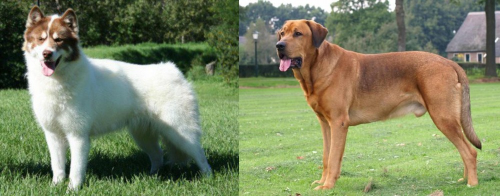 Broholmer vs Canadian Eskimo Dog - Breed Comparison