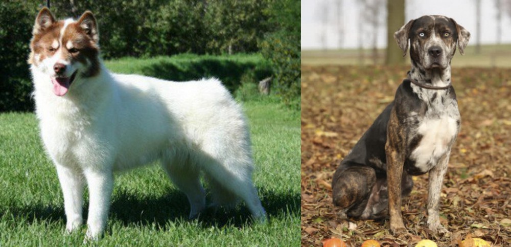 Catahoula Leopard vs Canadian Eskimo Dog - Breed Comparison