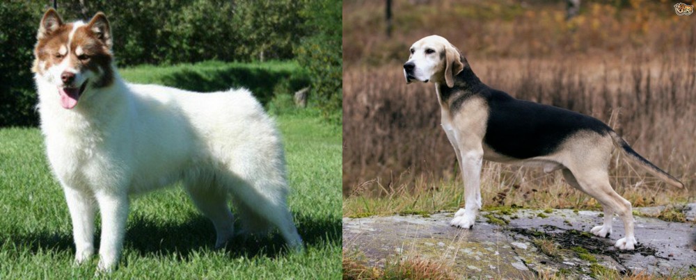 Dunker vs Canadian Eskimo Dog - Breed Comparison