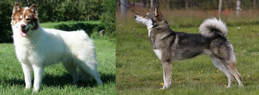 East Siberian Laika vs Canadian Eskimo Dog - Breed Comparison