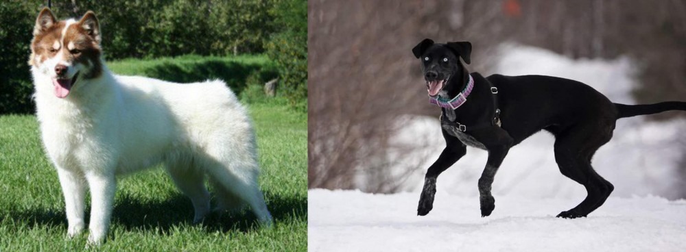 Eurohound vs Canadian Eskimo Dog - Breed Comparison