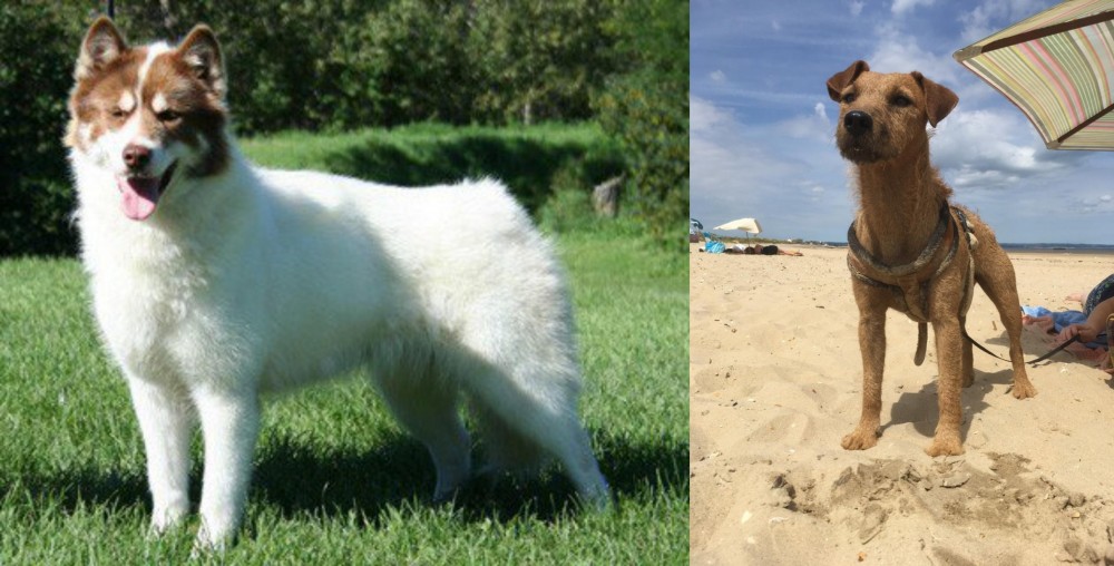 Fell Terrier vs Canadian Eskimo Dog - Breed Comparison