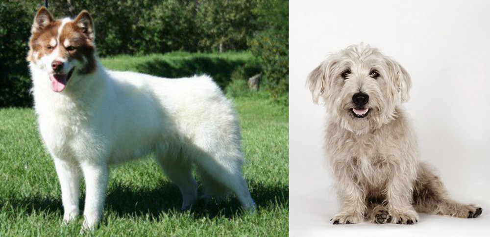 Glen of Imaal Terrier vs Canadian Eskimo Dog - Breed Comparison