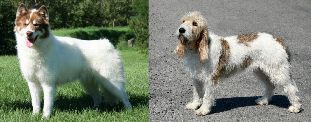 Grand Basset Griffon Vendeen vs Canadian Eskimo Dog - Breed Comparison