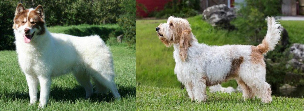 Grand Griffon Vendeen vs Canadian Eskimo Dog - Breed Comparison