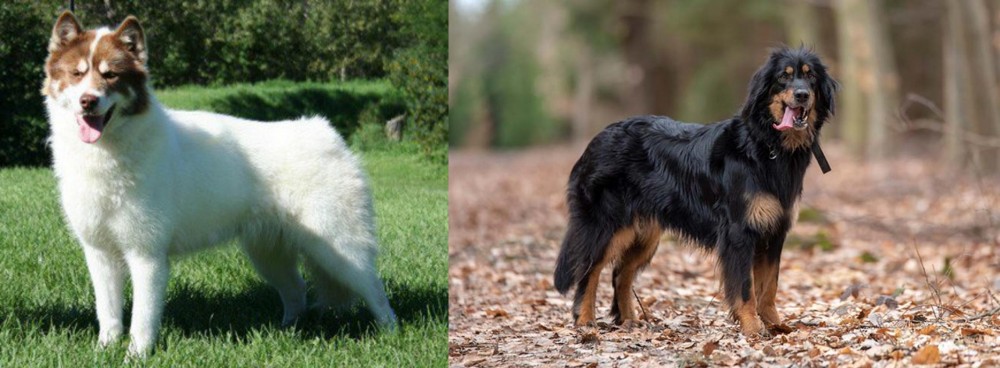 Hovawart vs Canadian Eskimo Dog - Breed Comparison