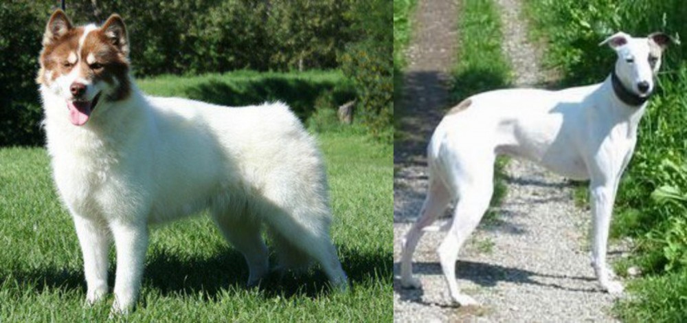 Kaikadi vs Canadian Eskimo Dog - Breed Comparison