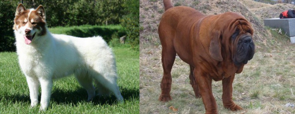 Korean Mastiff vs Canadian Eskimo Dog - Breed Comparison