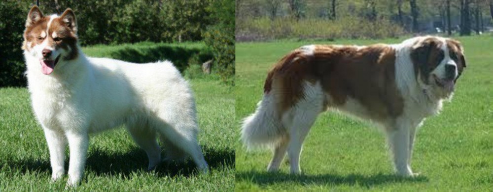 Moscow Watchdog vs Canadian Eskimo Dog - Breed Comparison