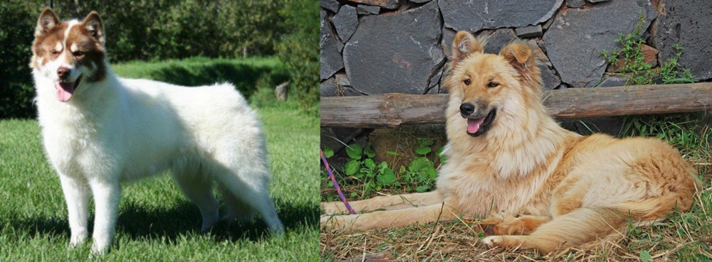 Pastor Garafiano vs Canadian Eskimo Dog - Breed Comparison