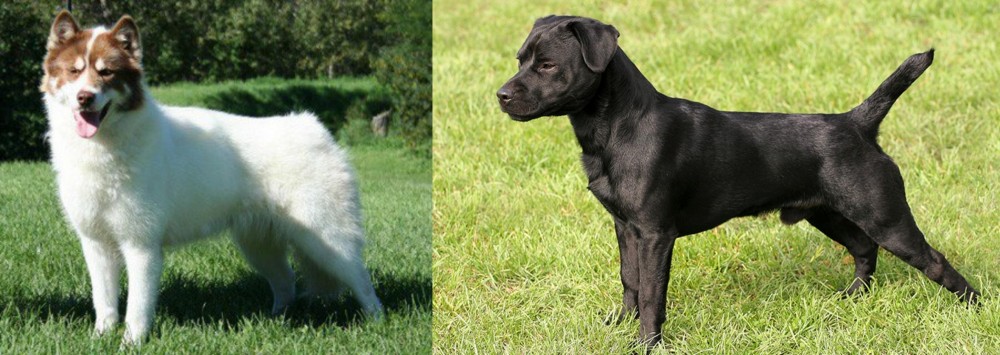 Patterdale Terrier vs Canadian Eskimo Dog - Breed Comparison